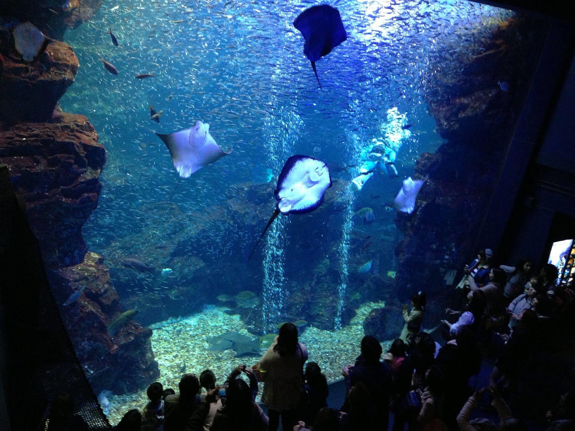 Готель Livemax Kyoto Gojo Екстер'єр фото