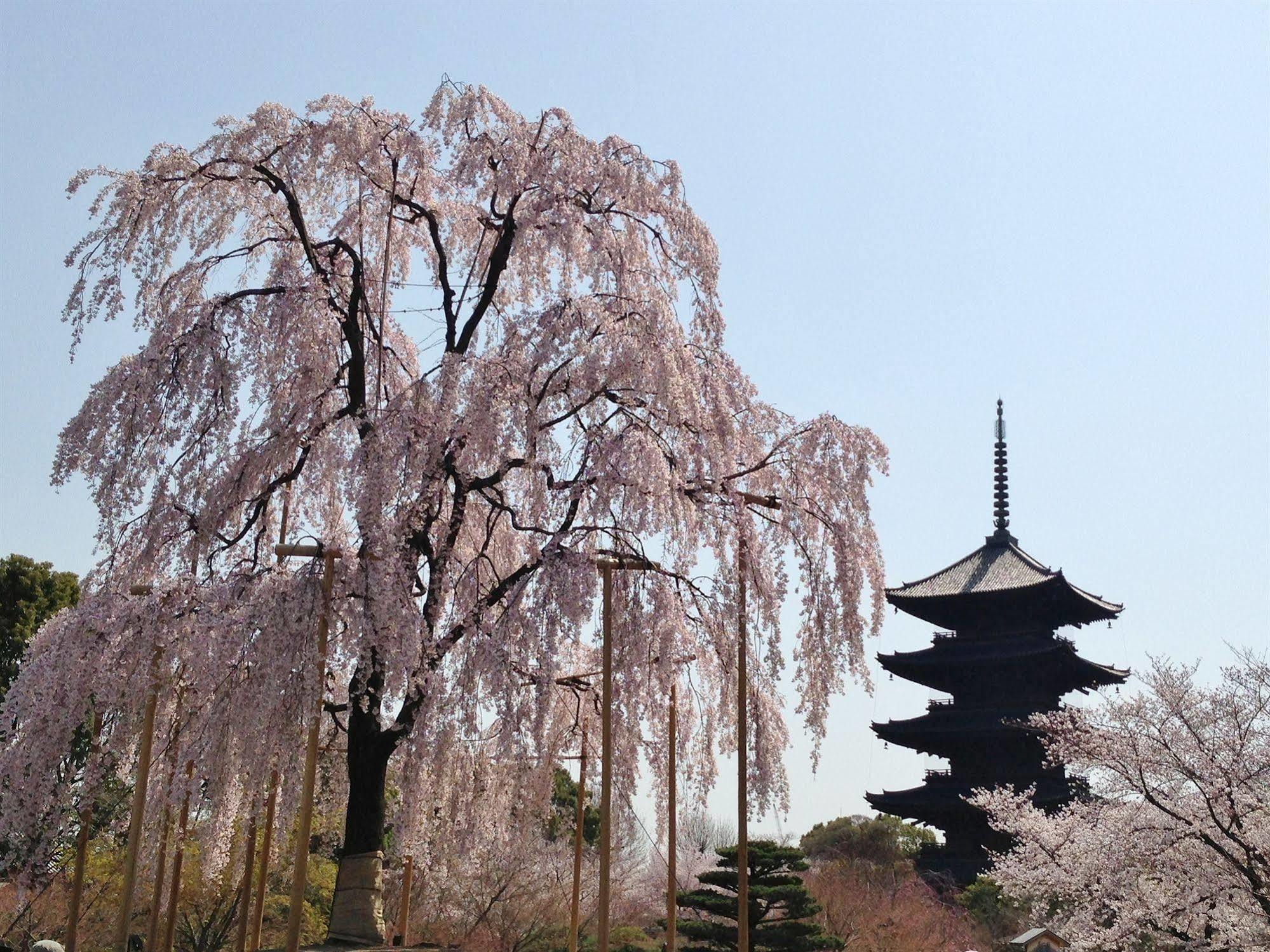 Готель Livemax Kyoto Gojo Екстер'єр фото